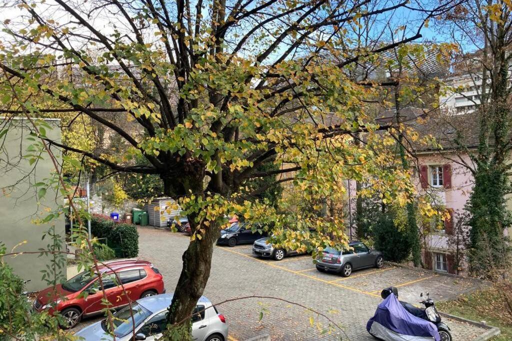 Parking&Appartement 2 pièces sans traffic Lausanne Extérieur photo